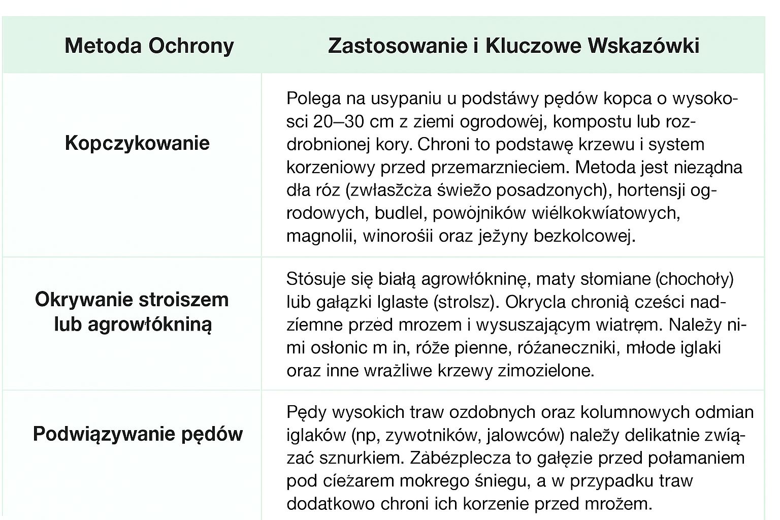 Tabela metod ochrony roślin przed mrozem – kopczykowanie, okrywanie agrowłókniną i podwiązywanie pędów zimą  OgrodyDT Warszawa