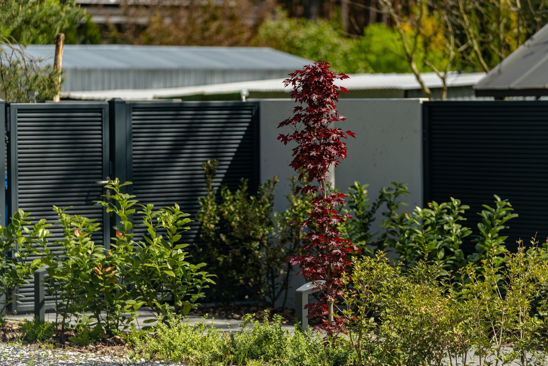 aranżacja ogrodu Warszawa